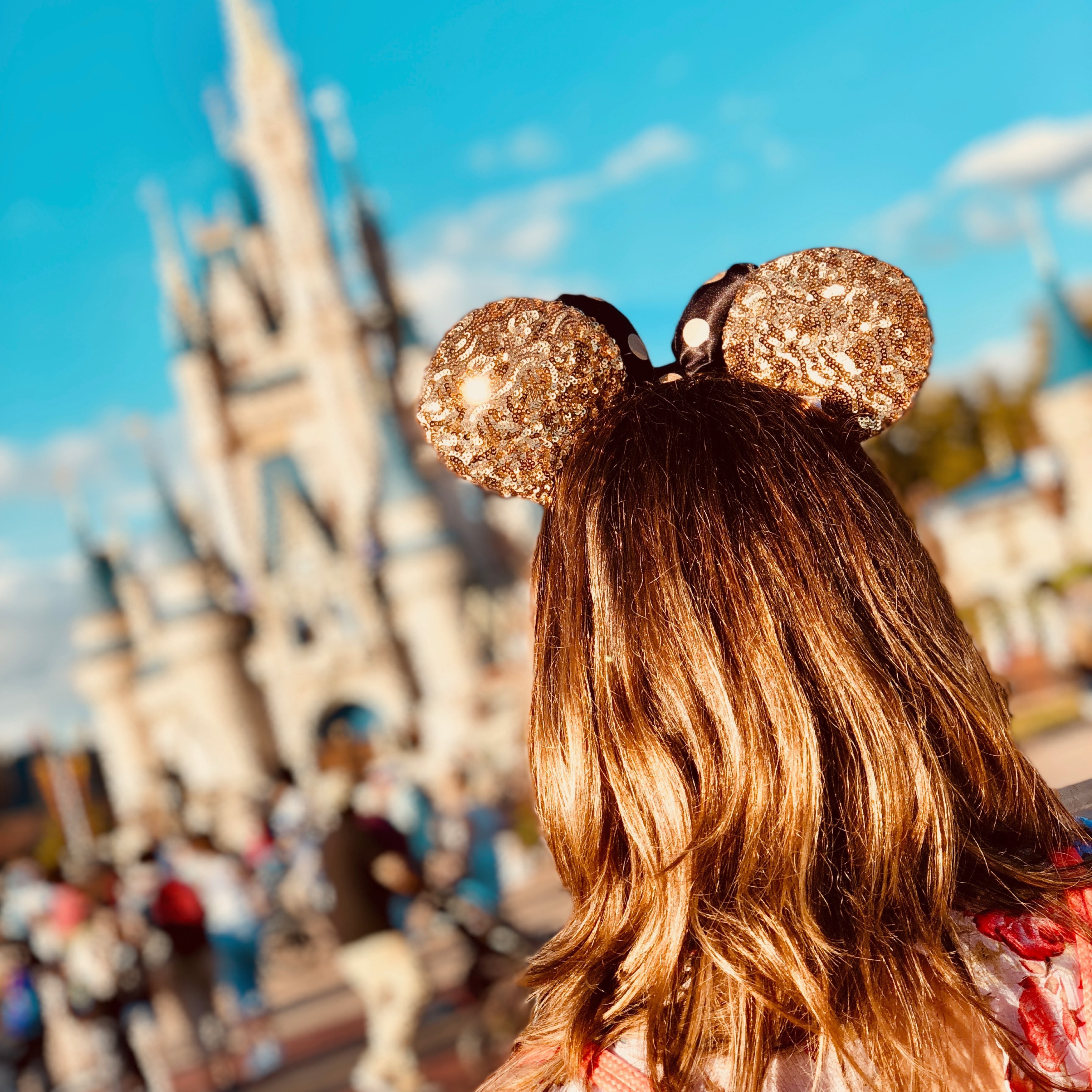 Disney Planning – Where to Stay, How to Fly, How to Save